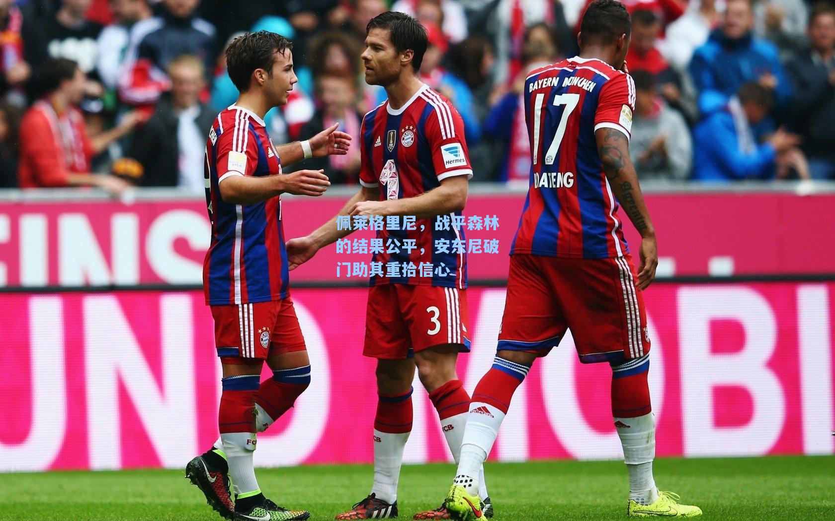 佩莱格里尼，战平森林的结果公平，安东尼破门助其重拾信心