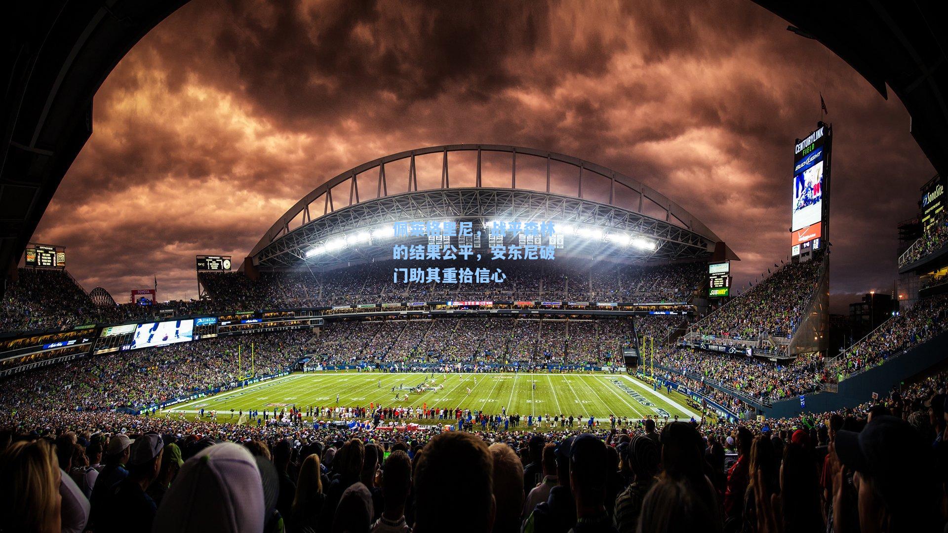 佩莱格里尼，战平森林的结果公平，安东尼破门助其重拾信心