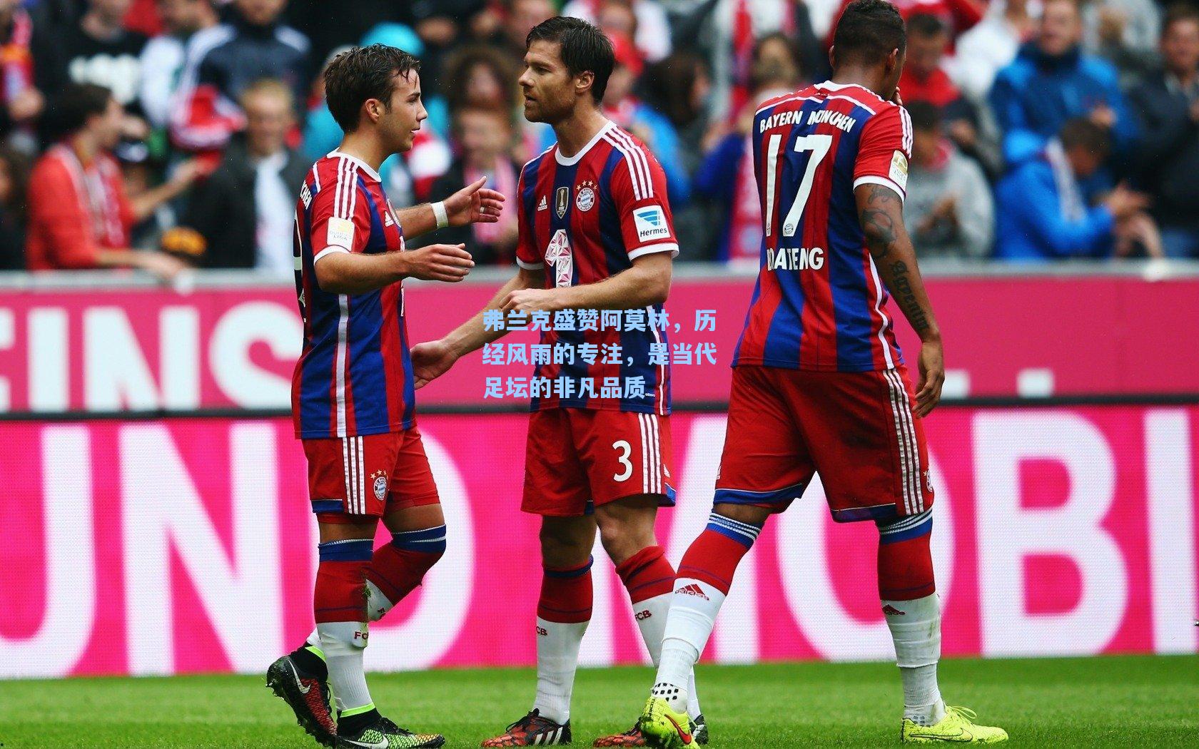 弗兰克盛赞阿莫林，历经风雨的专注，是当代足坛的非凡品质